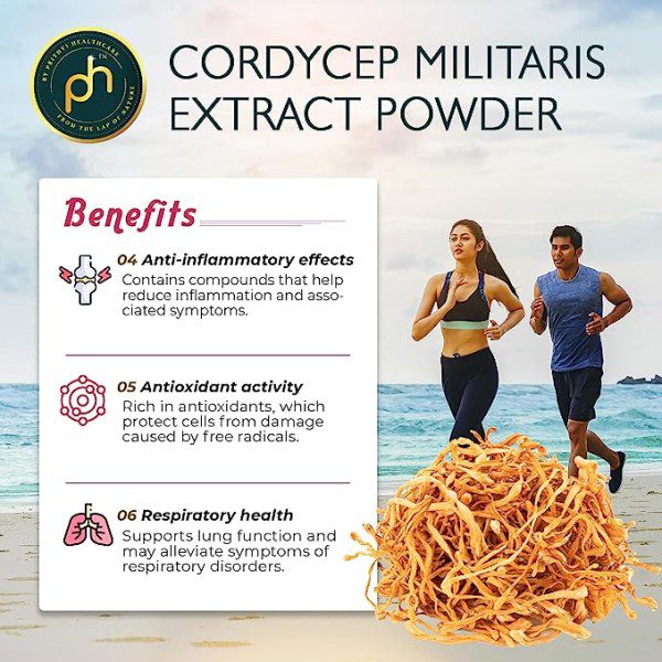 cordyceps Militaris extract powder benefits