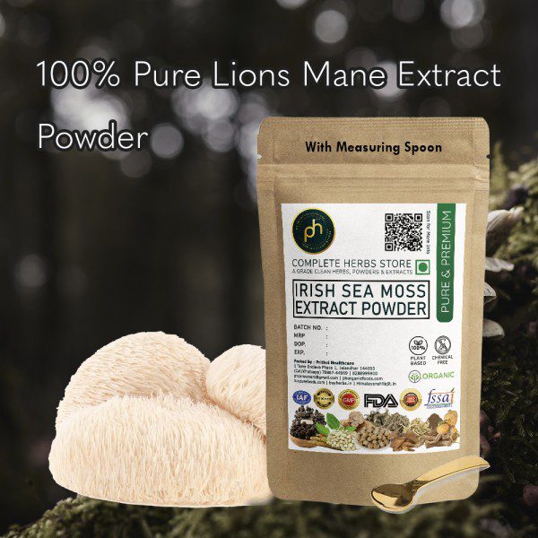 lion's mane mushroom powder
