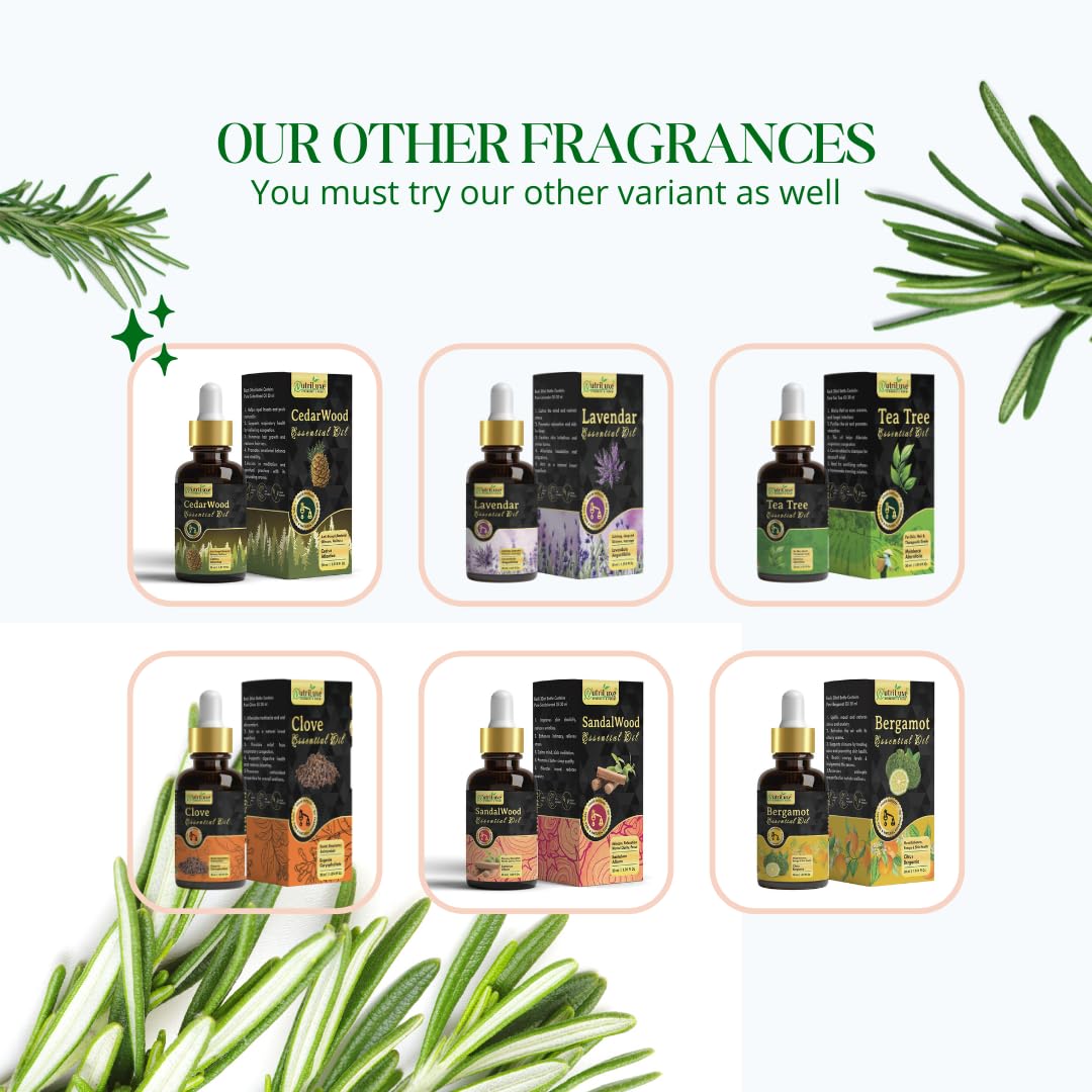 Nutriluxe Rosemary Essential Oil 30 ML - Image 5