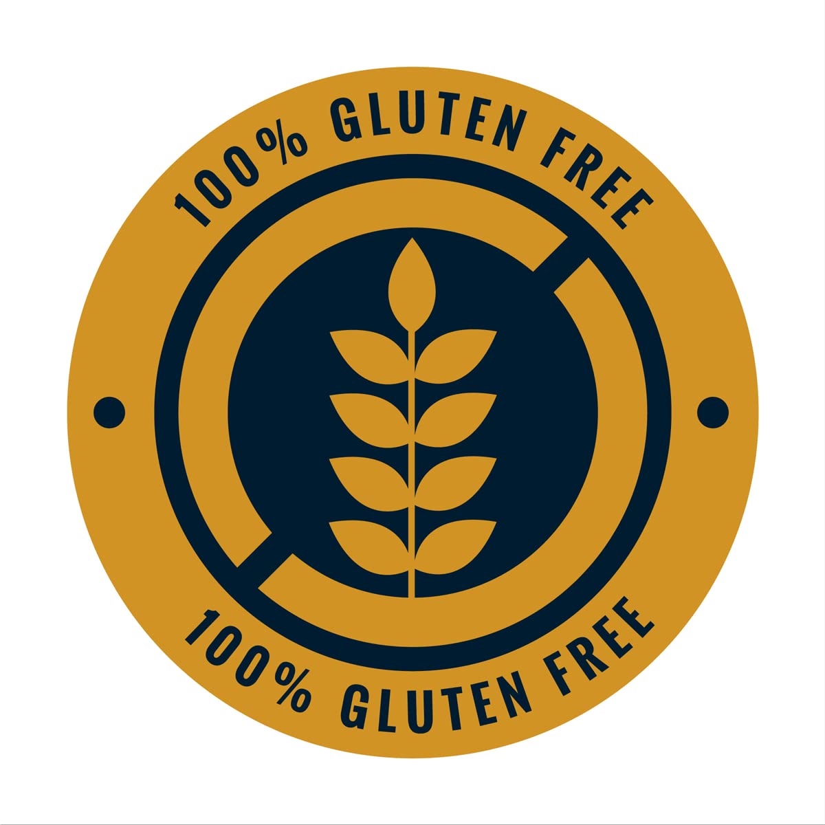 PH Organic Barnyard Millet Flour 1kg - Image 2