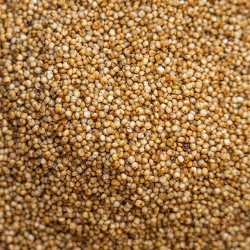 PH Organic Kodo Millet 5kg - Image 2